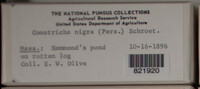Image Associated With the Occurence